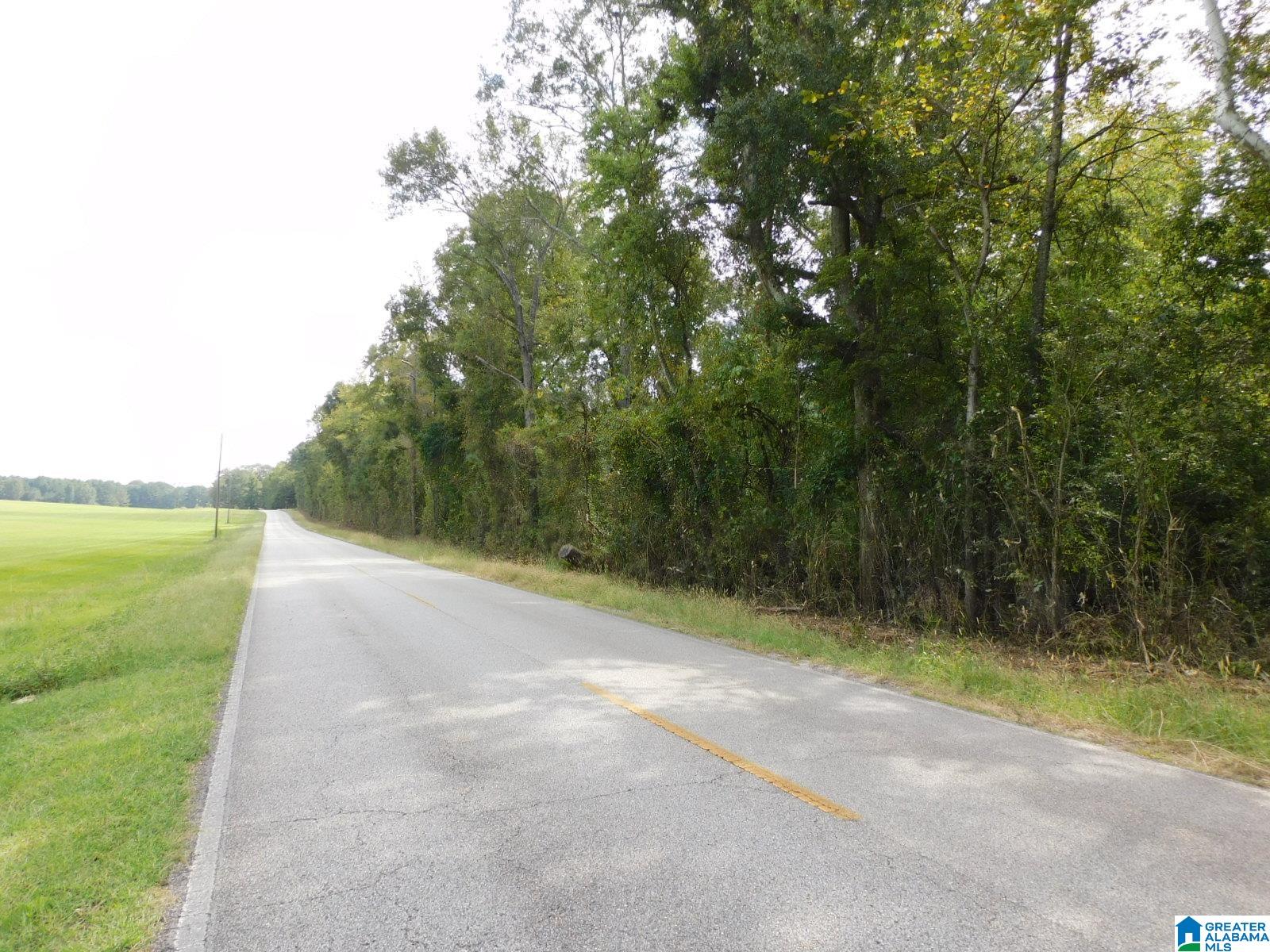 Homes for sale in Harpersville, AL | 1409 Creswell Road, Harpersville, AL 35078 | MLS# 21451696
