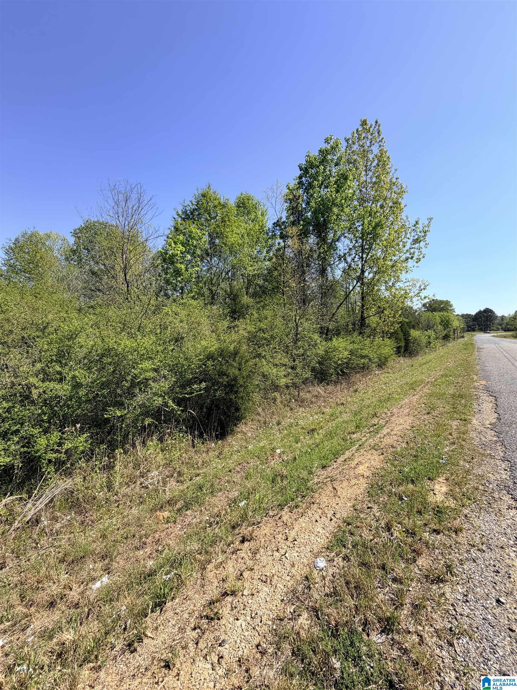 Homes for sale in Talladega, AL | 0 Hwy 77, Talladega, AL 35160 | MLS# 21451728
