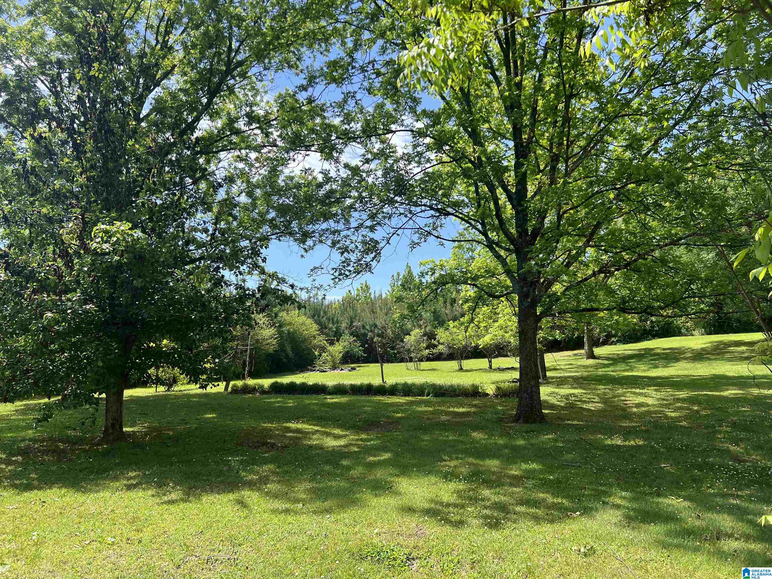 Photo 2 of Single family home for sale at 129 Woodland Dr, Talladega, AL 35160 | MLS# 21451775 | Listing updated on 2026-09-19