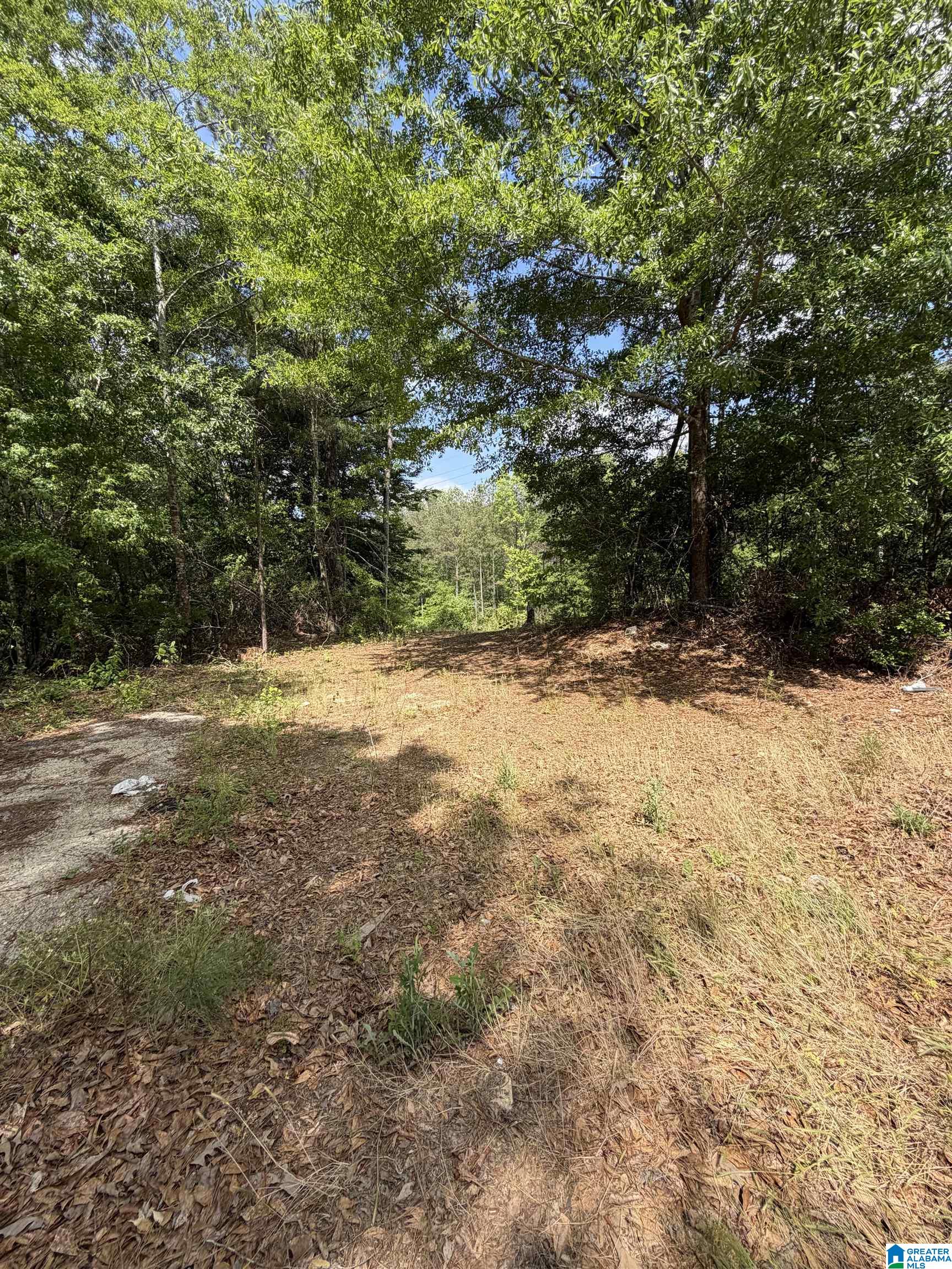 1755 COUNTY ROAD 19 N