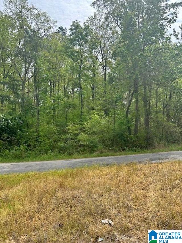 Homes for sale in Arley, AL | Lot 11 County Road 3902, Arley, AL 35541 | MLS# 21451812