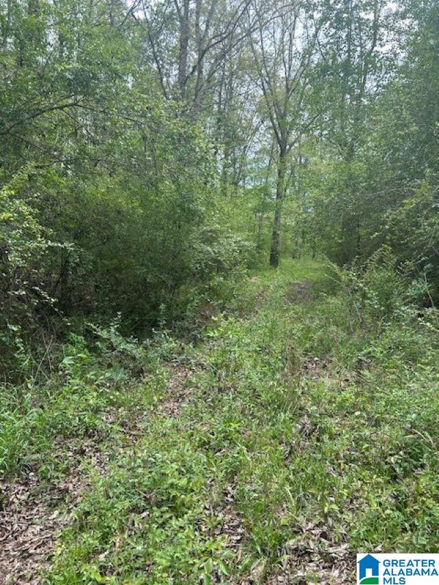 Homes for sale in Arley, AL | Lot 11 County Road 3902, Arley, AL 35541 | MLS# 21451812