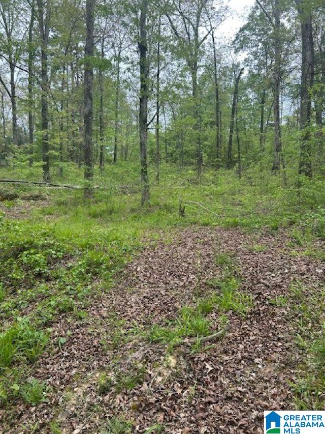 Homes for sale in Arley, AL | Lot 11 County Road 3902, Arley, AL 35541 | MLS# 21451812