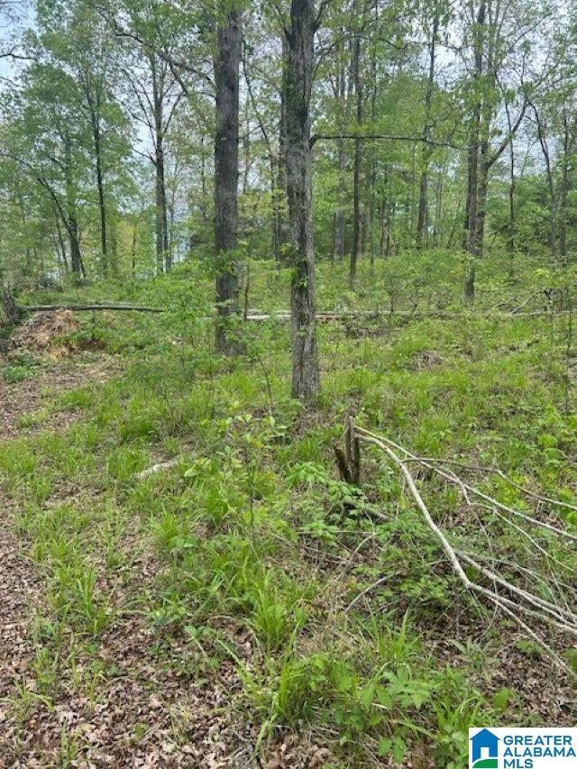 Homes for sale in Arley, AL | Lot 11 County Road 3902, Arley, AL 35541 | MLS# 21451812