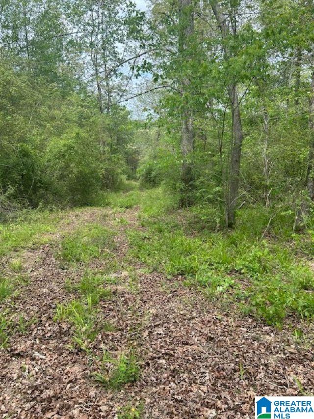 Homes for sale in Arley, AL | Lot 11 County Road 3902, Arley, AL 35541 | MLS# 21451812