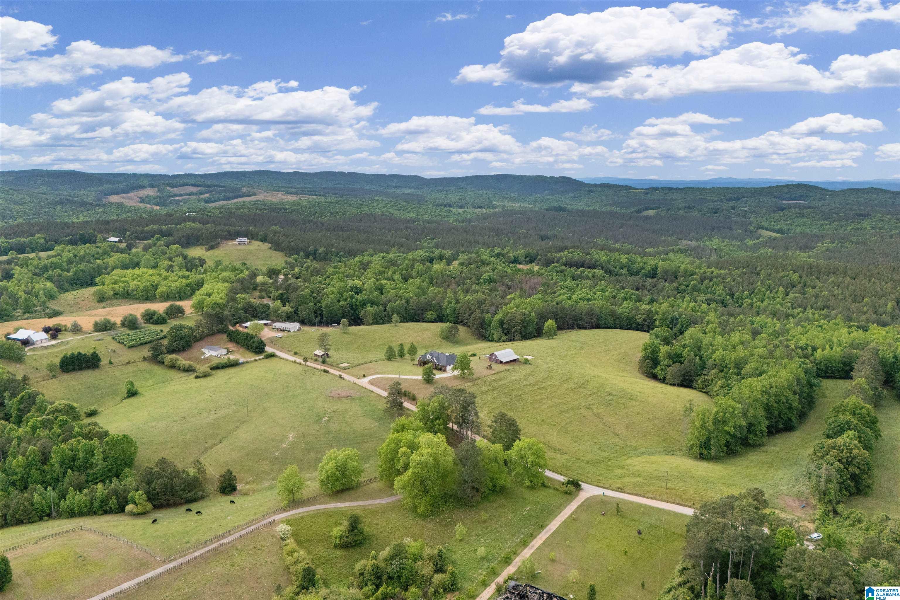 Homes for sale in Ranburne, AL | 1435 County Road 633, Ranburne, AL 36273 | MLS# 21451860