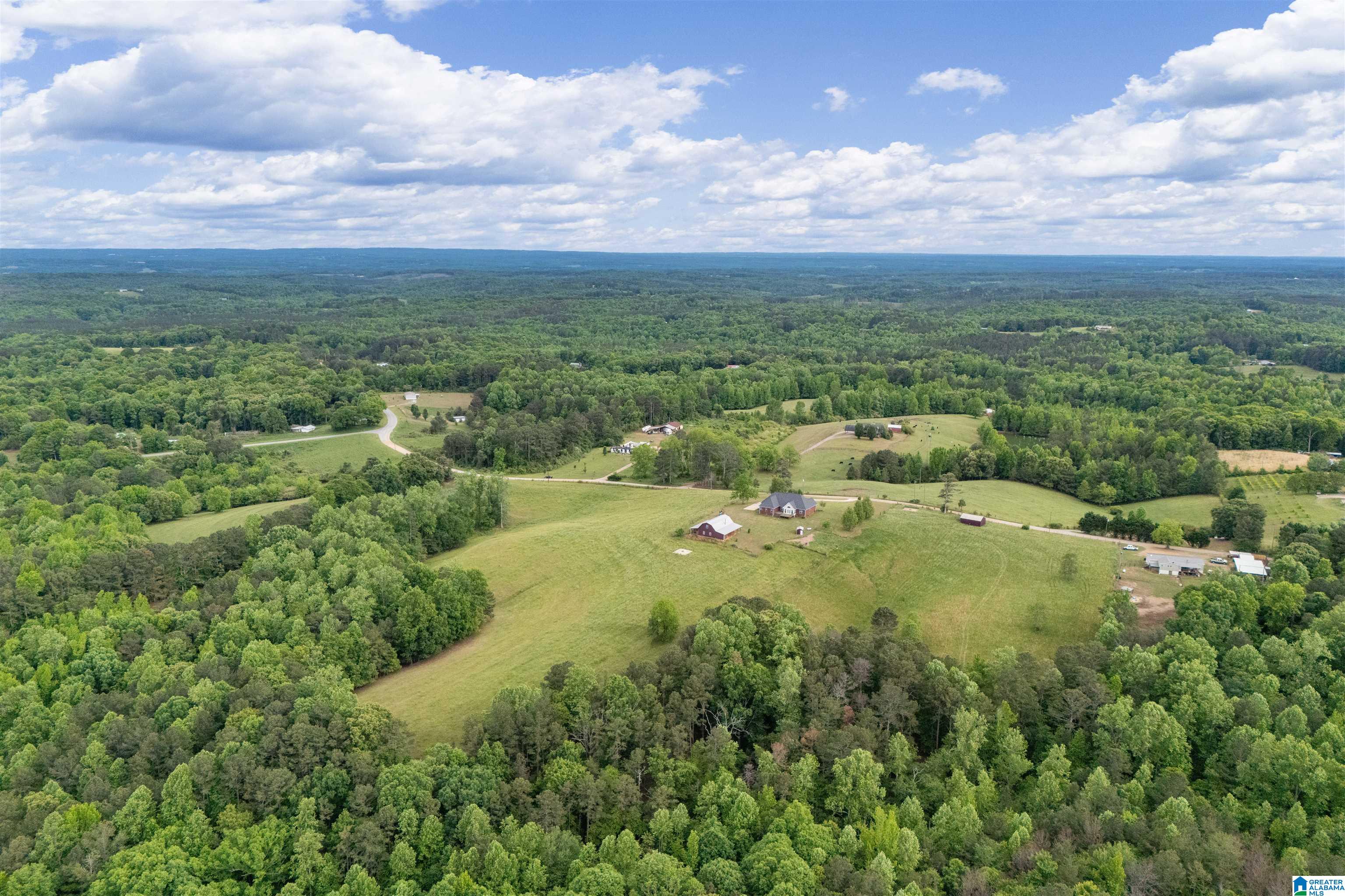 Homes for sale in Ranburne, AL | 1435 County Road 633, Ranburne, AL 36273 | MLS# 21451860