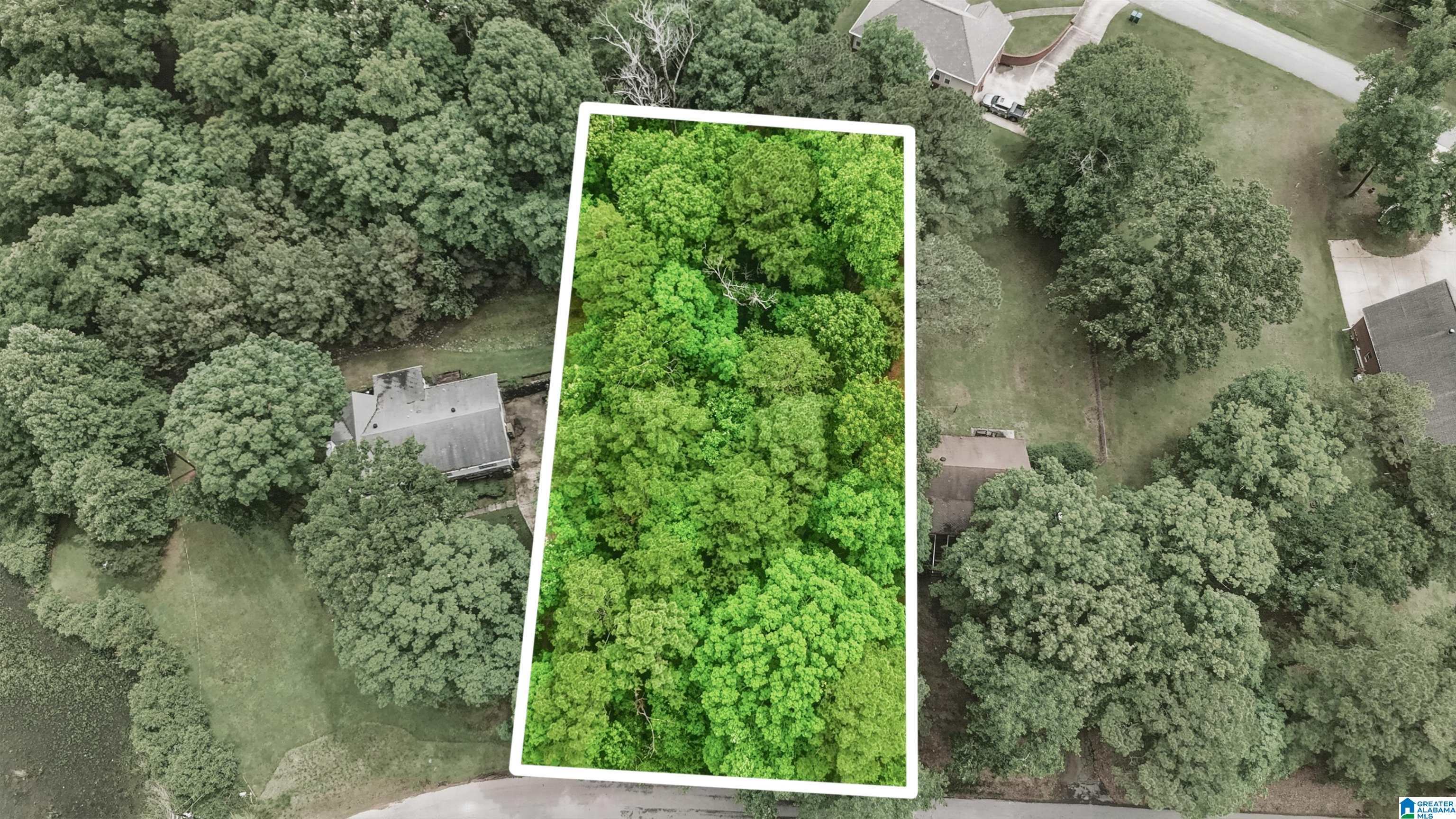 Homes for sale in Lakeview, AL | 00 Allison Dr, Lakeview, AL 35111 | MLS# 21451884