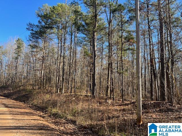 Homes for sale in Ashland, AL | 0 Creek Road, Ashland, AL 36251 | MLS# 21451905