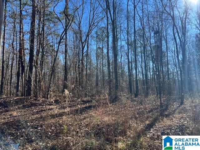 Homes for sale in Ashland, AL | 0 Creek Road, Ashland, AL 36251 | MLS# 21451905