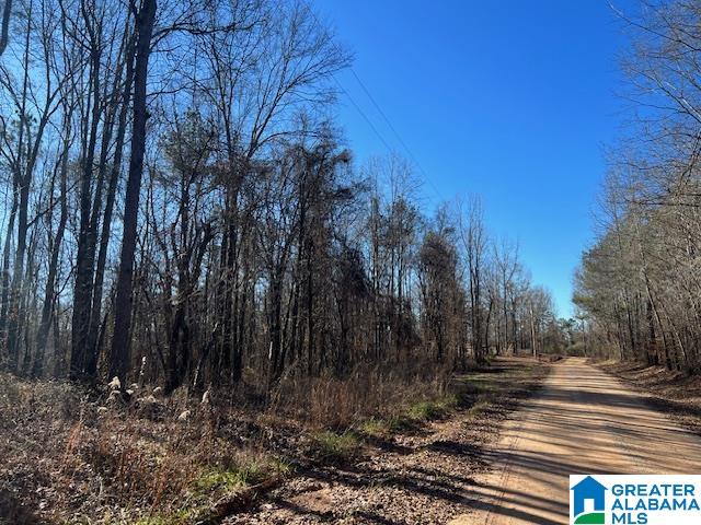 Homes for sale in Ashland, AL | 0 Creek Road, Ashland, AL 36251 | MLS# 21451905