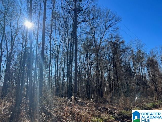 Homes for sale in Ashland, AL | 0 Creek Road, Ashland, AL 36251 | MLS# 21451905