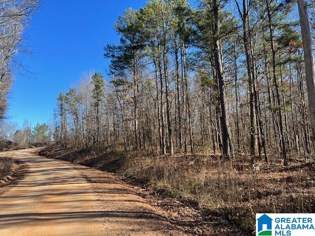 Homes for sale in Ashland, AL | 0 Creek Road, Ashland, AL 36251 | MLS# 21451905
