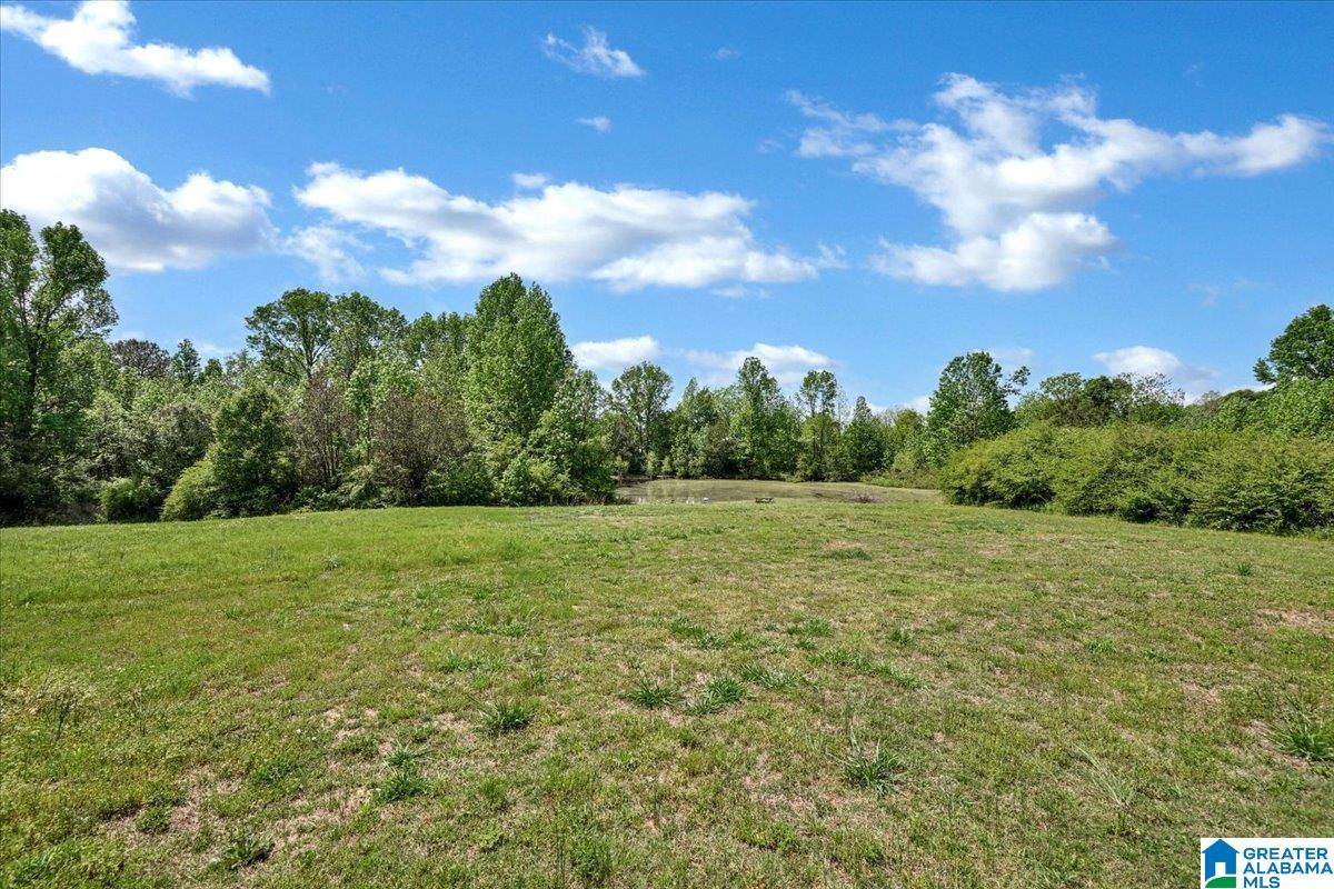 3rd image of 888 County Road 1663, Cullman, AL 35058 | MLS# 21451954