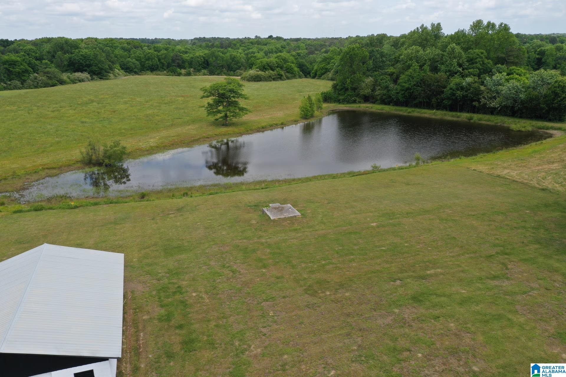 Homes for sale in Baileyton, AL | 245 School House Road, Baileyton, AL 35019 | MLS# 21452059