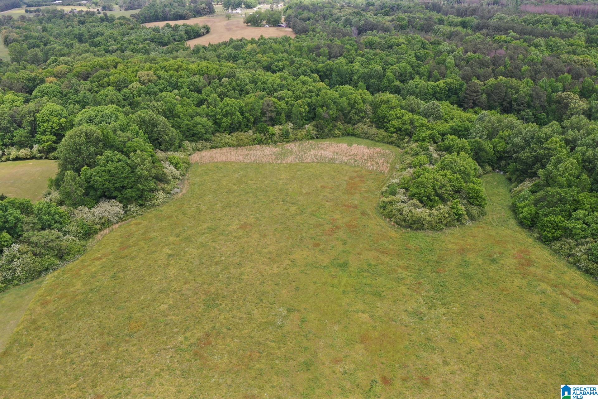 Homes for sale in Baileyton, AL | 245 School House Road, Baileyton, AL 35019 | MLS# 21452059