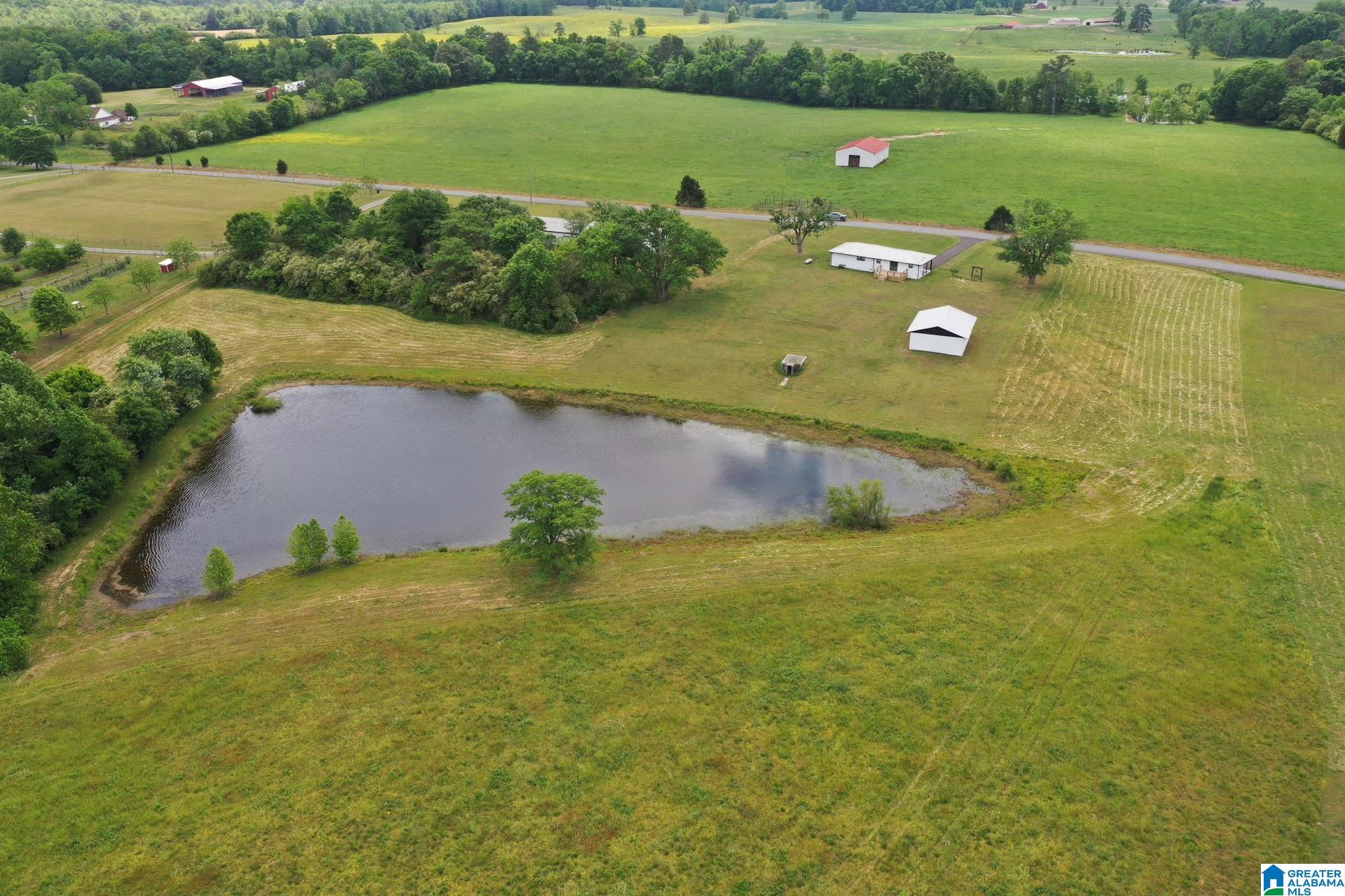 Homes for sale in Baileyton, AL | 245 School House Road, Baileyton, AL 35019 | MLS# 21452059