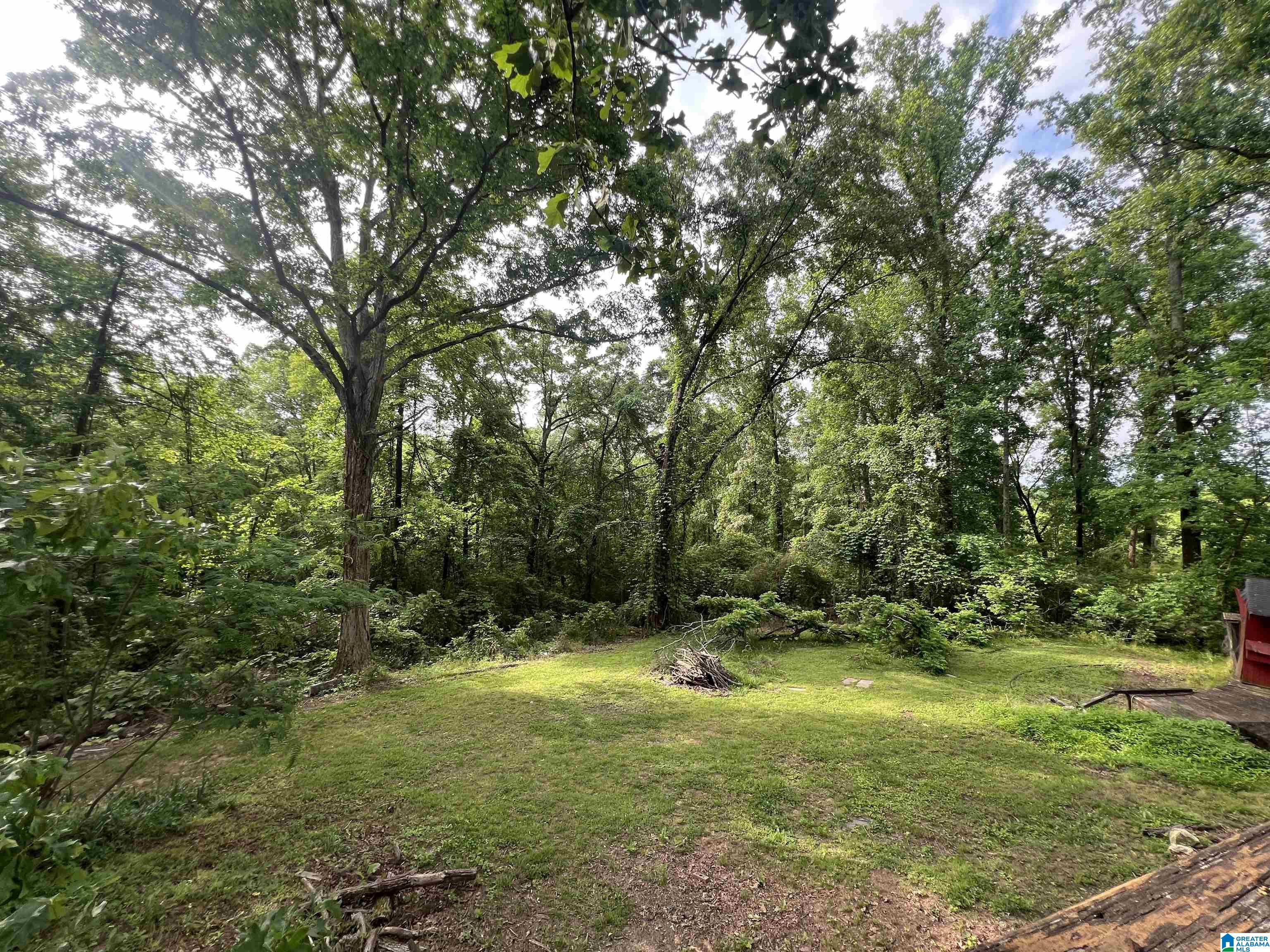 Homes for sale in Trussville, AL | 3334 Smith Sims Road, Trussville, AL 35173 | MLS# 21452073