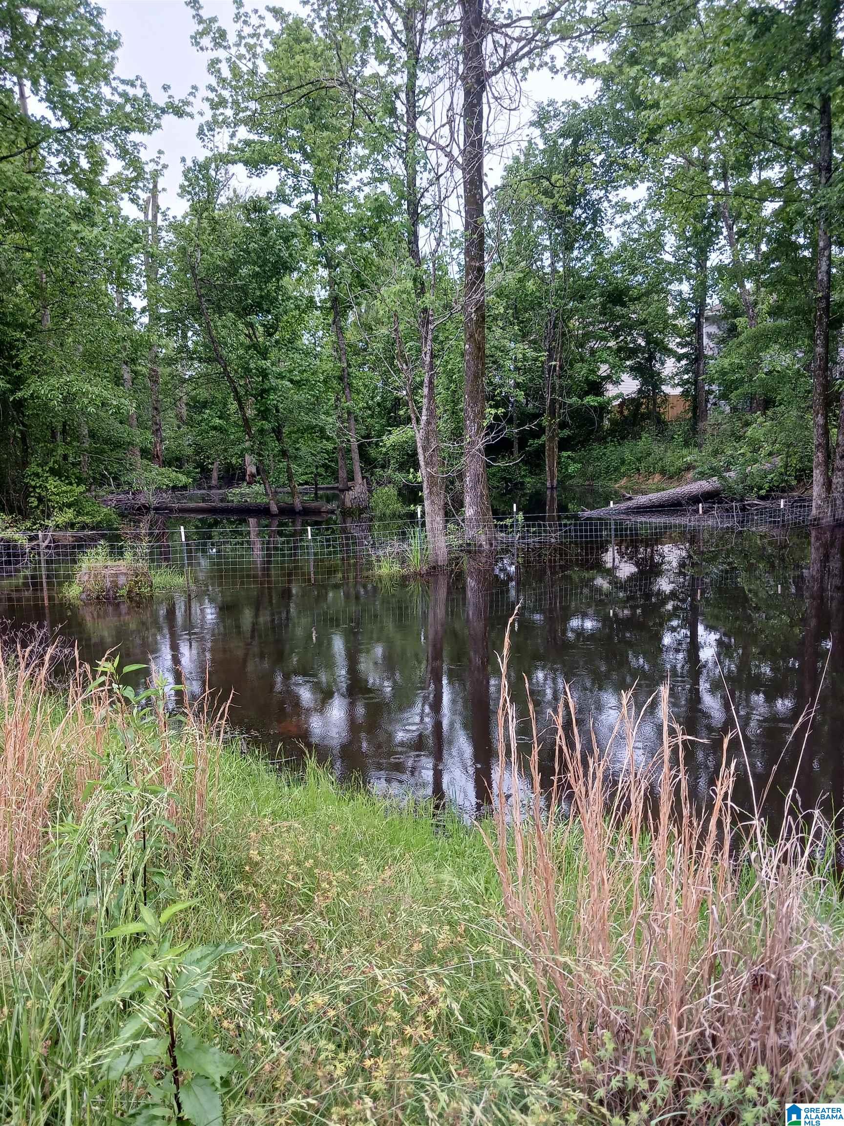 1991 NIXON ROAD