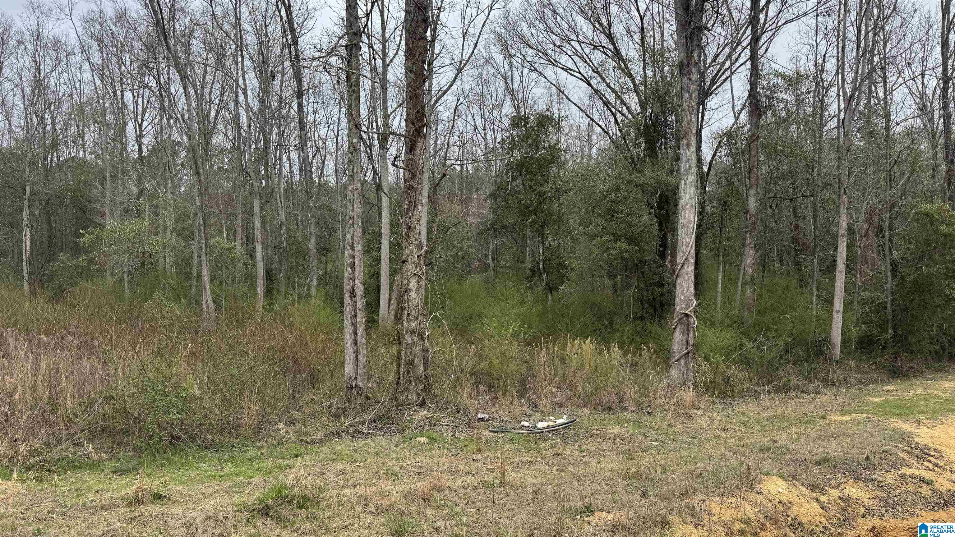 Homes for sale in Maplesville, AL | 2187 County Road 340, Maplesville, AL 36750 | MLS# 21452327