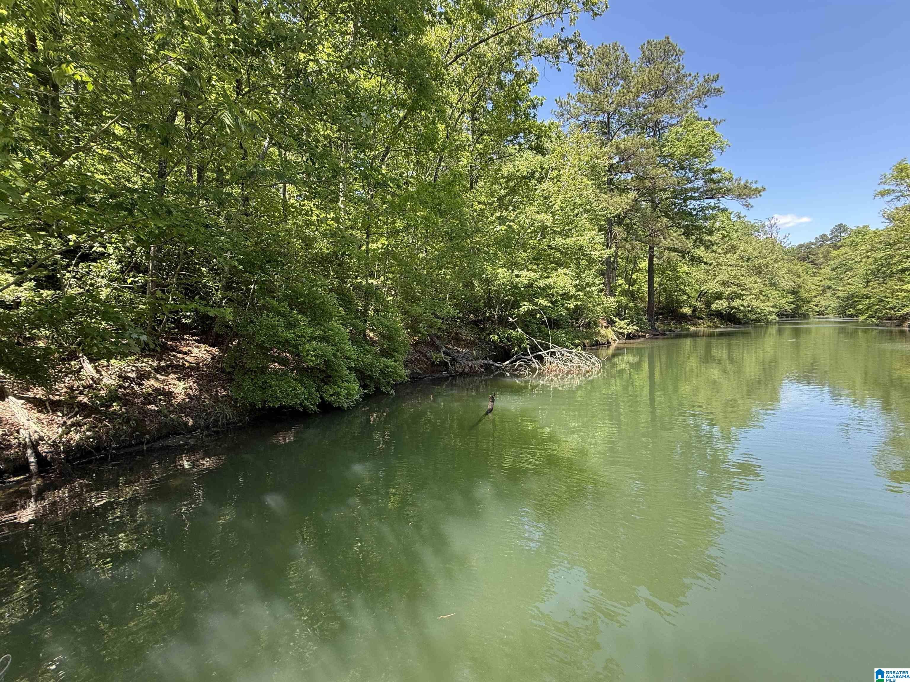 Homes for sale in Arley, AL | Lot 8 Winding Creek Lane, Arley, AL 35541 | MLS# 21452429