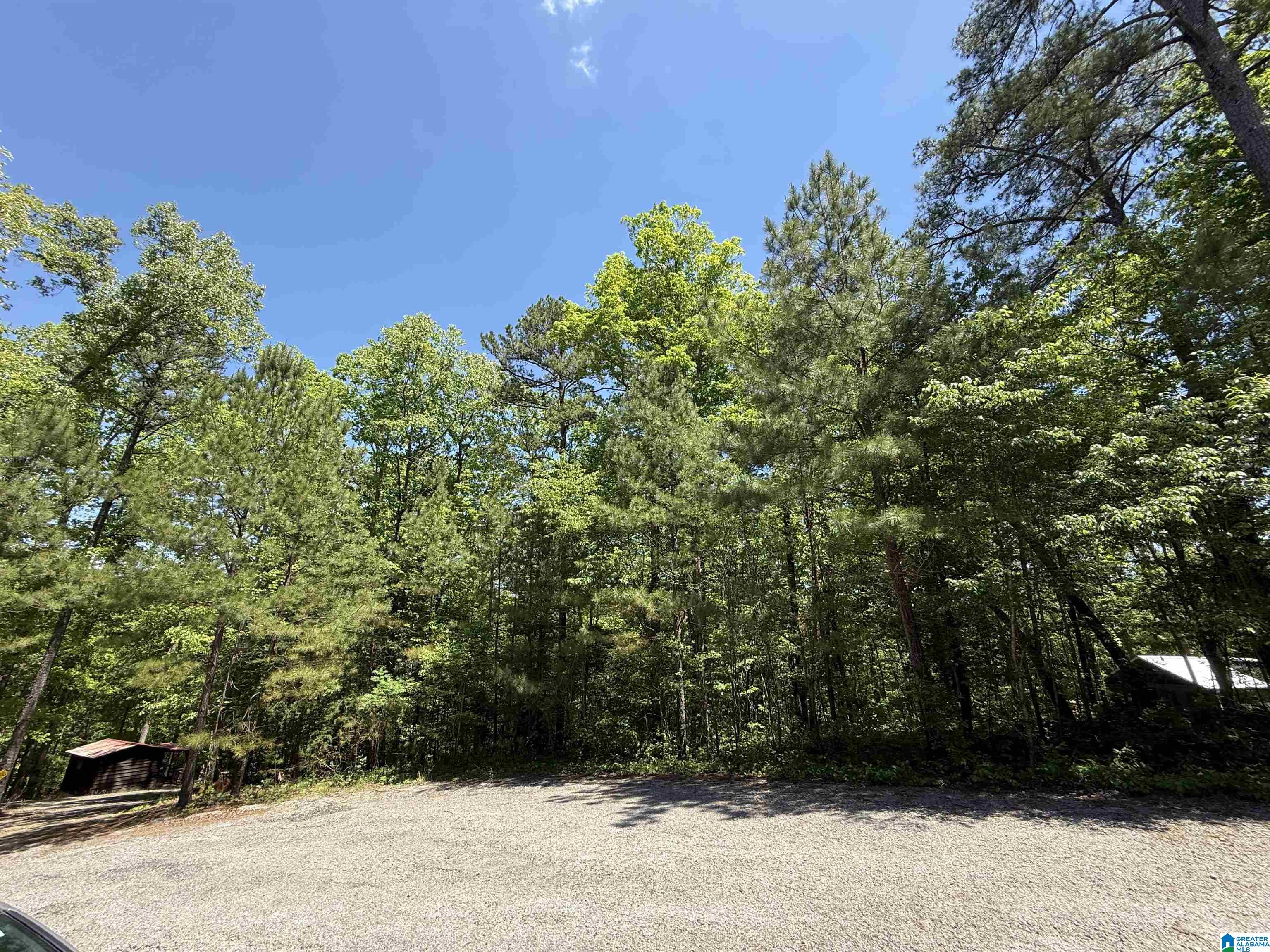 Homes for sale in Arley, AL | Lot 8 Winding Creek Lane, Arley, AL 35541 | MLS# 21452429