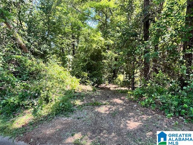 Homes for sale in Helena, AL | 218 Chestnut Forest Circle, Helena, AL 35080 | MLS# 21452559