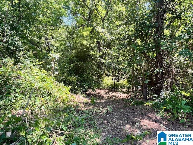 Homes for sale in Helena, AL | 218 Chestnut Forest Circle, Helena, AL 35080 | MLS# 21452559