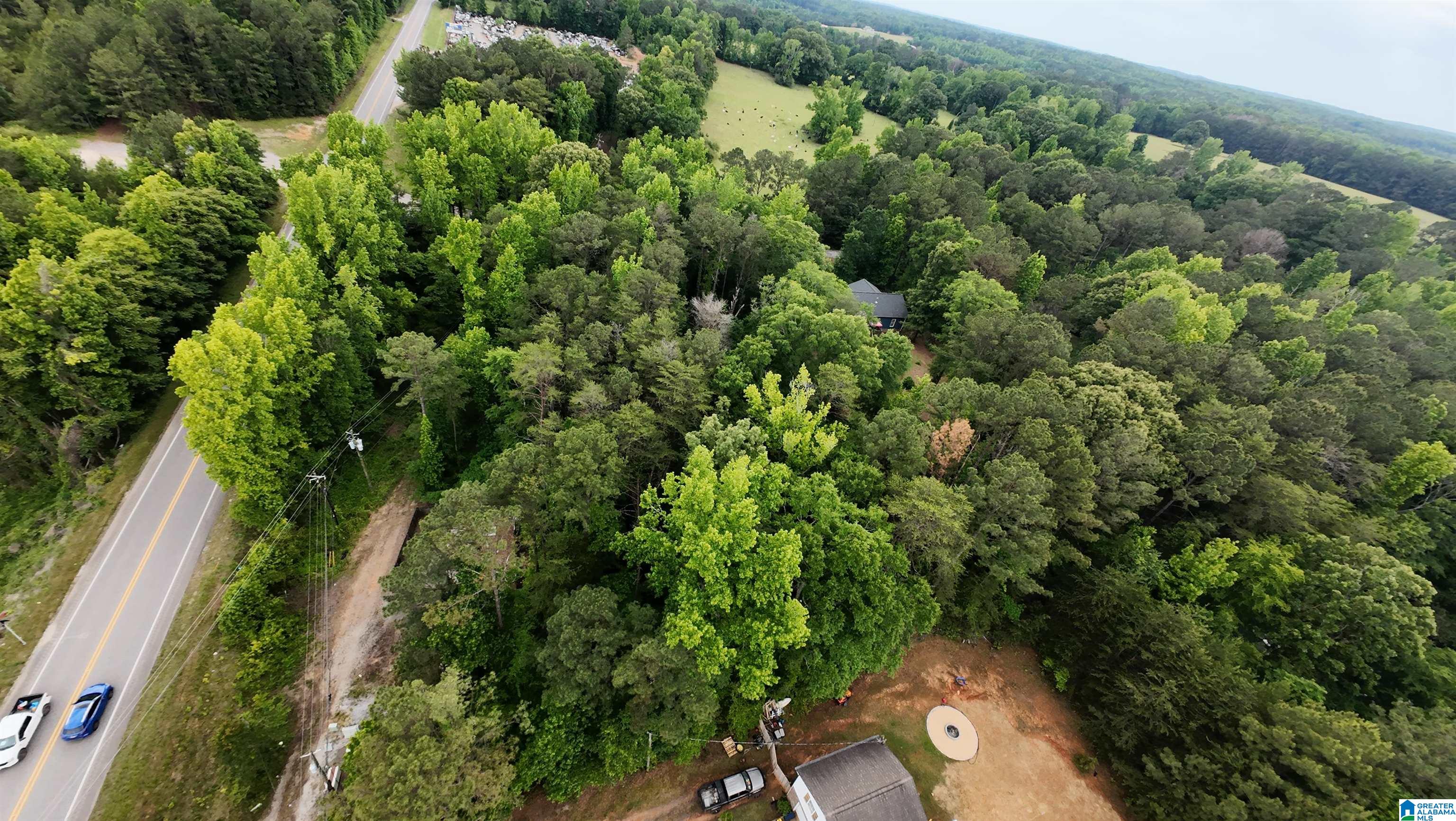 Homes for sale in Woodstock, AL | 16 Thrash Road, Woodstock, AL 35188 | MLS# 21452621