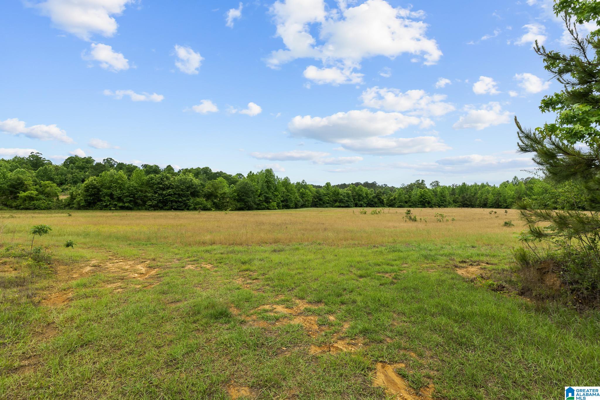 Homes for sale in Maplesville, AL | 0 Hwy 91, Maplesville, AL 36750 | MLS# 21452699