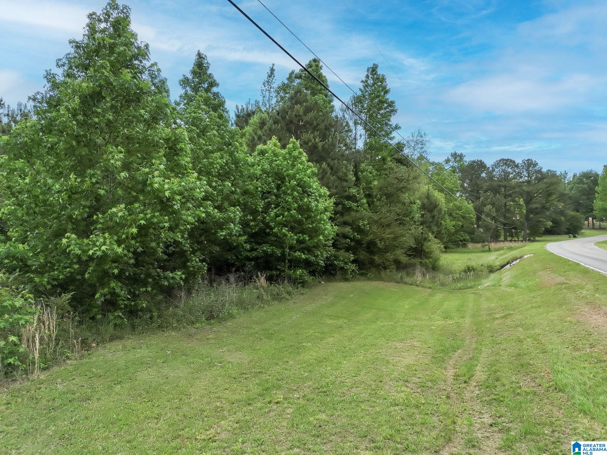 Homes for sale in Clanton, AL | 0 Temple Road, Clanton, AL 35045 | MLS# 21452708