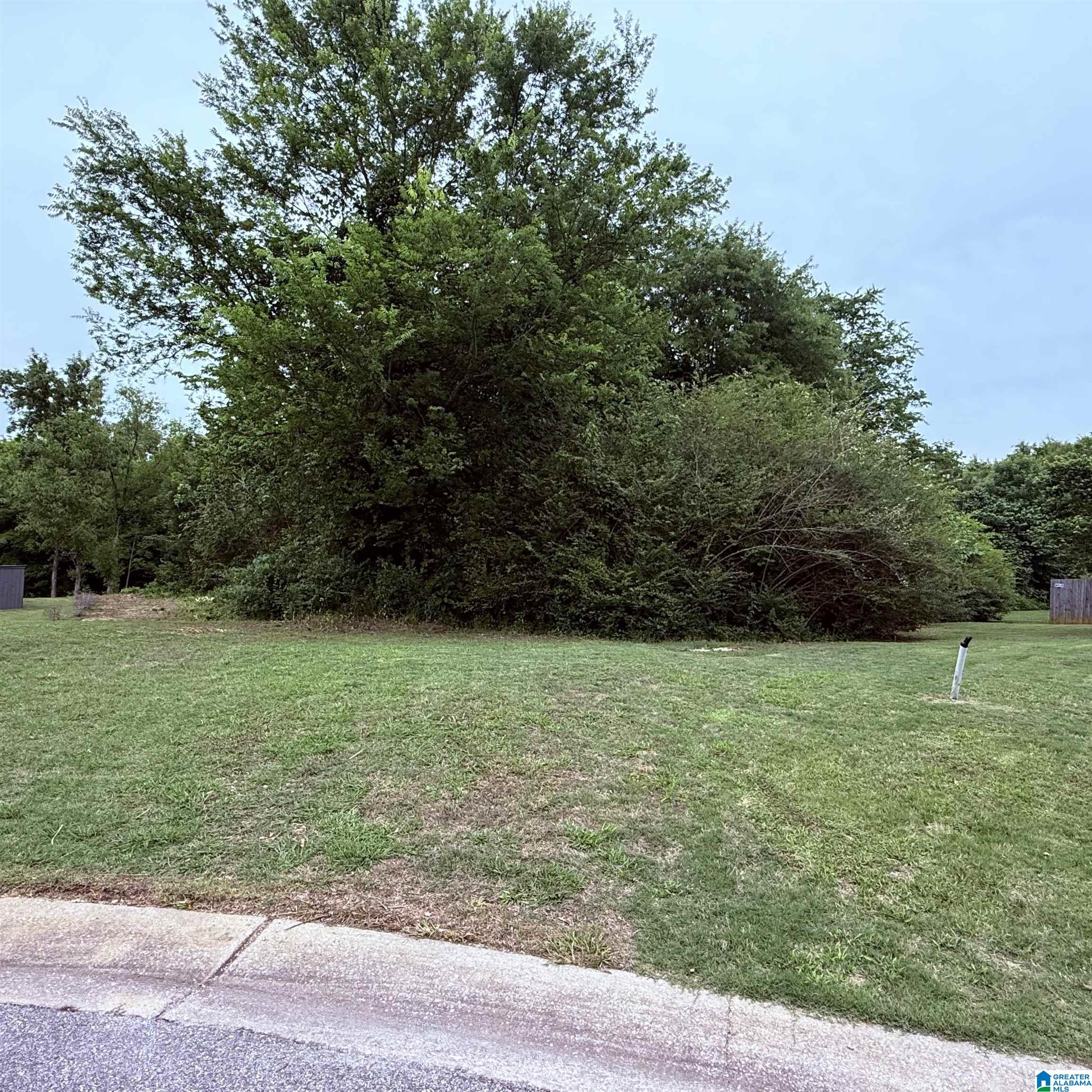 156 PATRIOT PARK