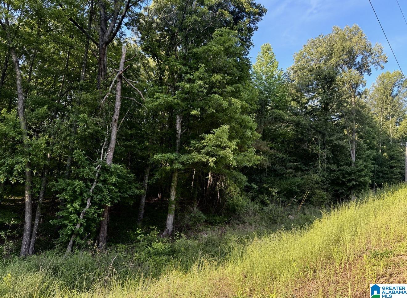 4th image of 0 Constellation Dr, Alpine, AL 35014 | MLS# 21452753