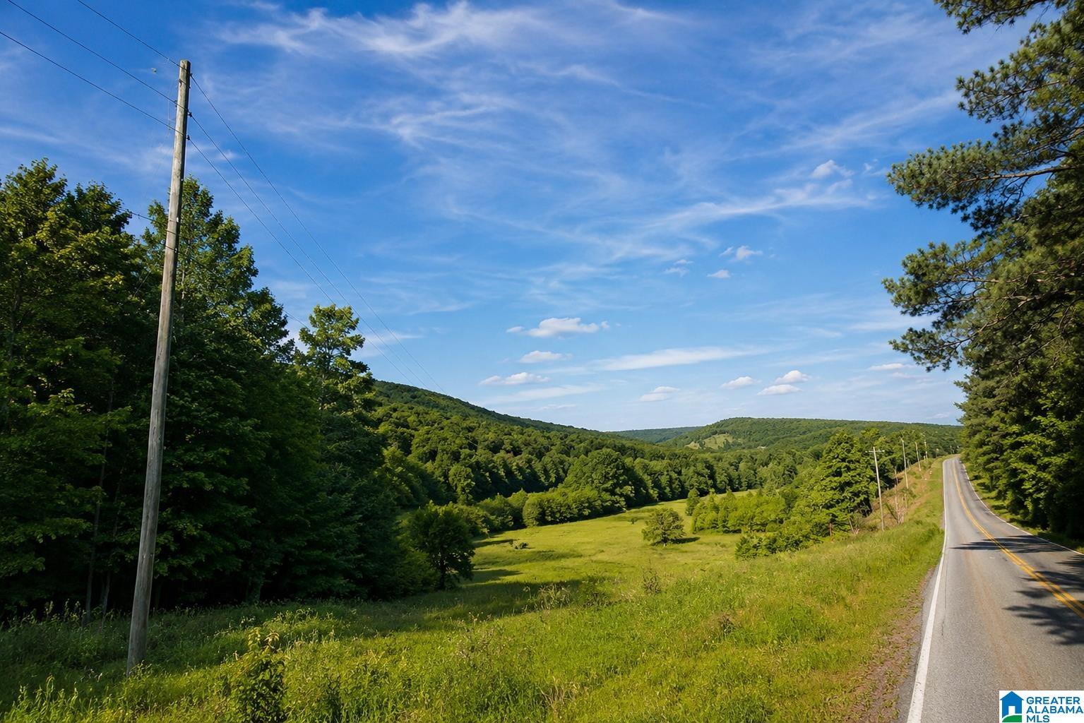 5th image of 0 Constellation Dr, Alpine, AL 35014 | MLS# 21452753