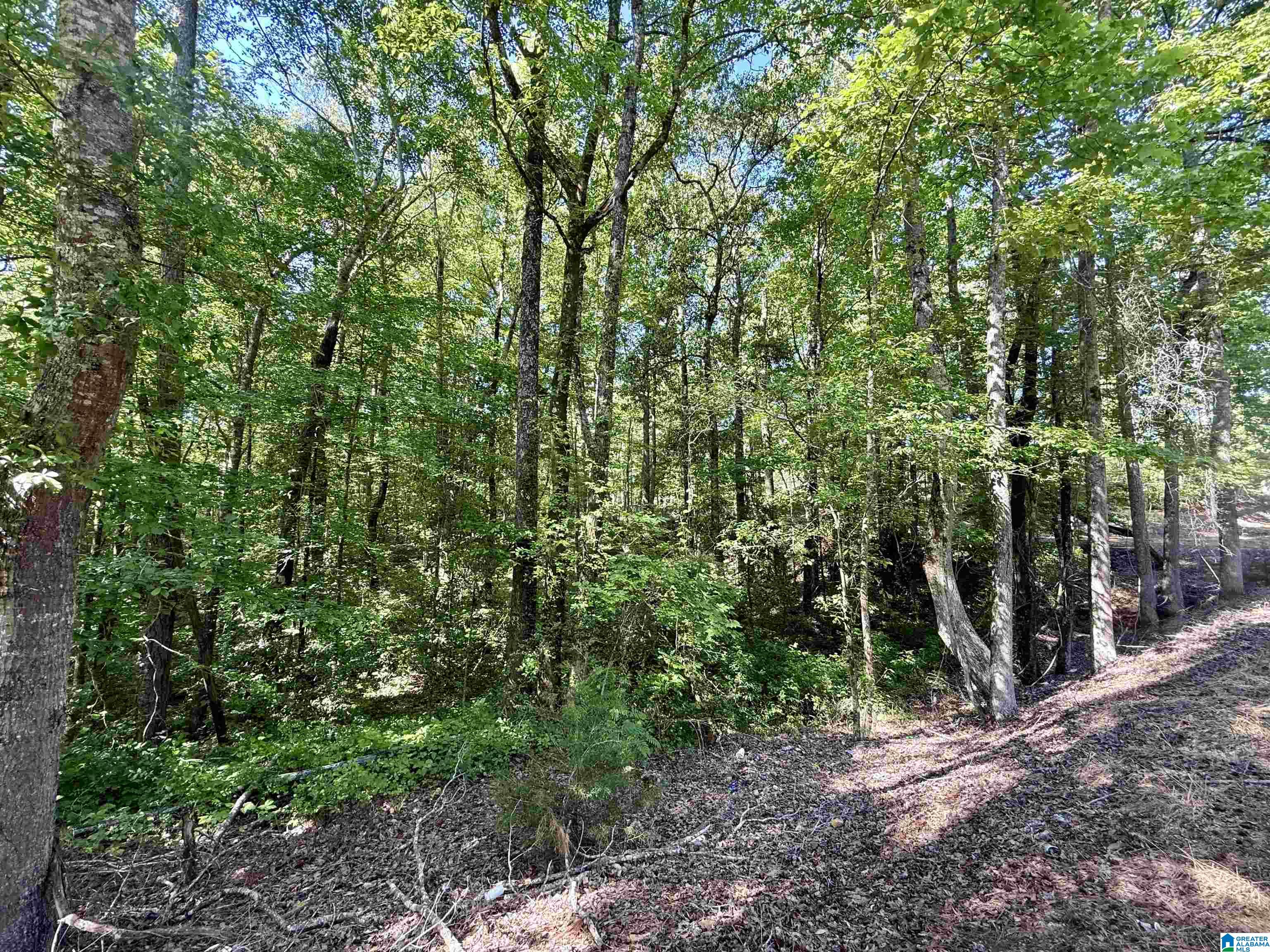 0 SETTLEMENT ROAD