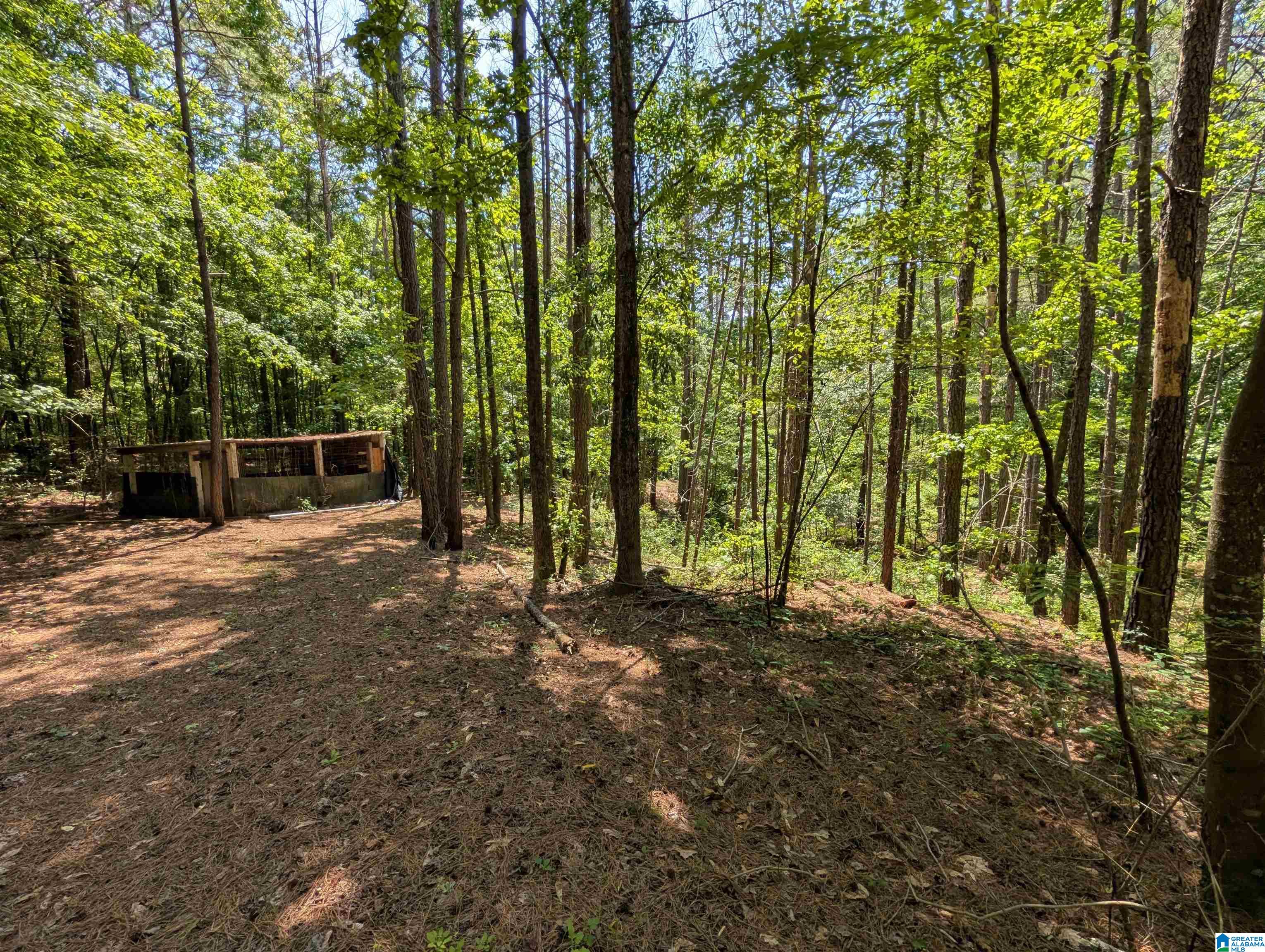 Homes for sale in Pell City, AL | 4561 Cook Springs Road, Pell City, AL 35125 | MLS# 21452879