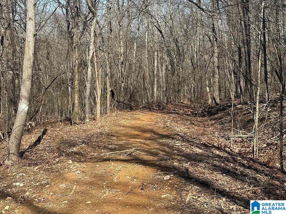 3rd image of 208 Overland Dr, Piedmont, AL 36272 | MLS# 21453025