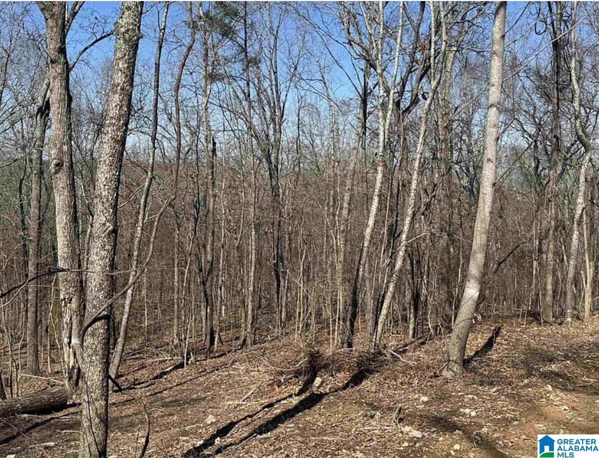 4th image of 208 Overland Dr, Piedmont, AL 36272 | MLS# 21453025