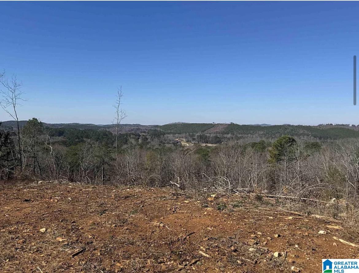 5th image of 208 Overland Dr, Piedmont, AL 36272 | MLS# 21453025