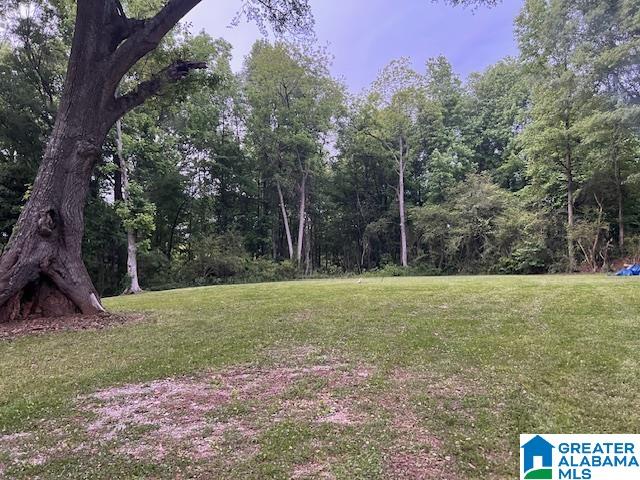 Homes for sale in Heflin, AL | 877 Bedwell Street, Heflin, AL 36264 | MLS# 21453063
