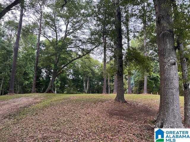 Homes for sale in Heflin, AL | 877 Bedwell Street, Heflin, AL 36264 | MLS# 21453063