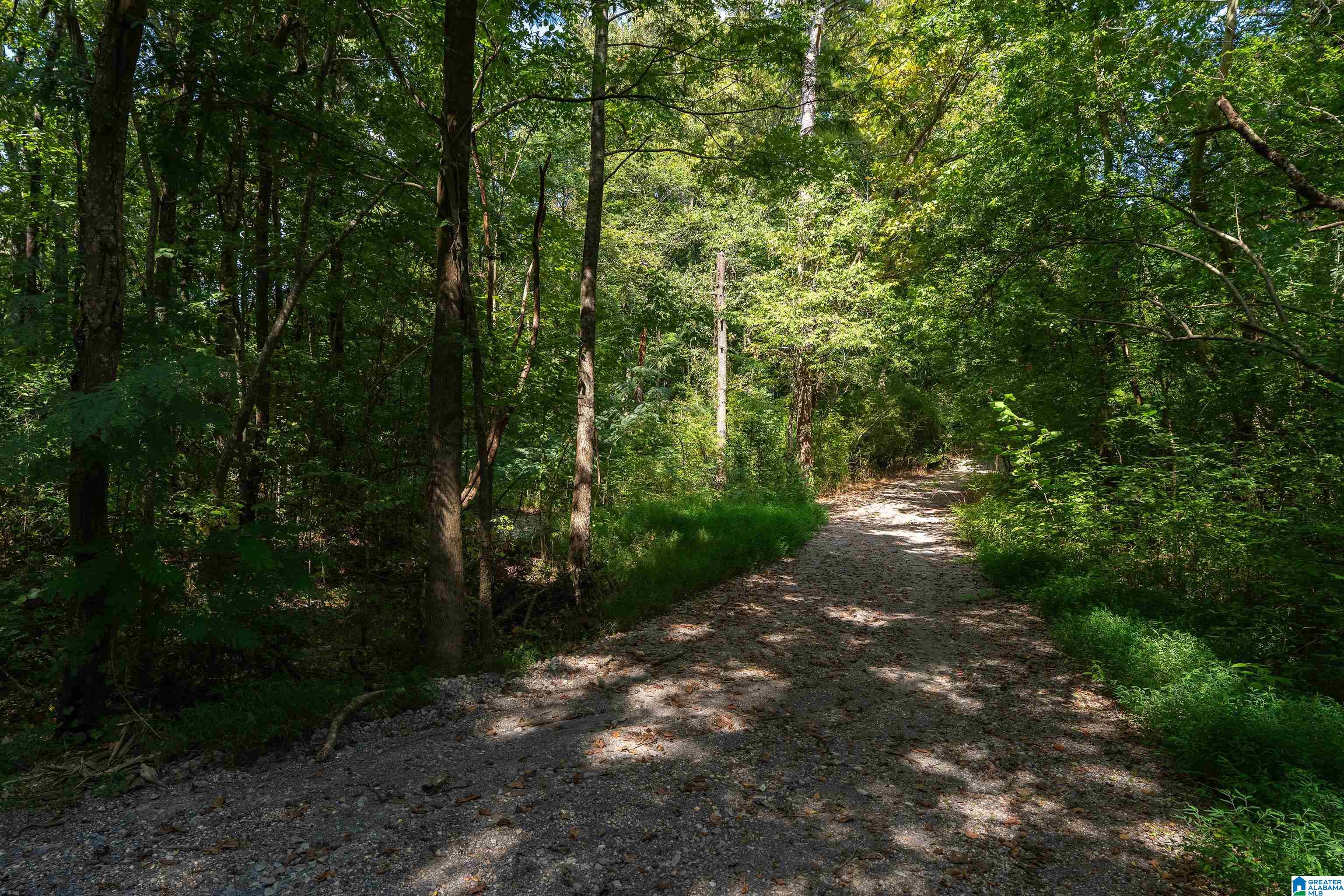 Photo 3 of Single family home for sale at 5162 Willow Ridge Ln, Pinson, AL 35126 | MLS# 21453098 | Listing updated on 2026-09-18