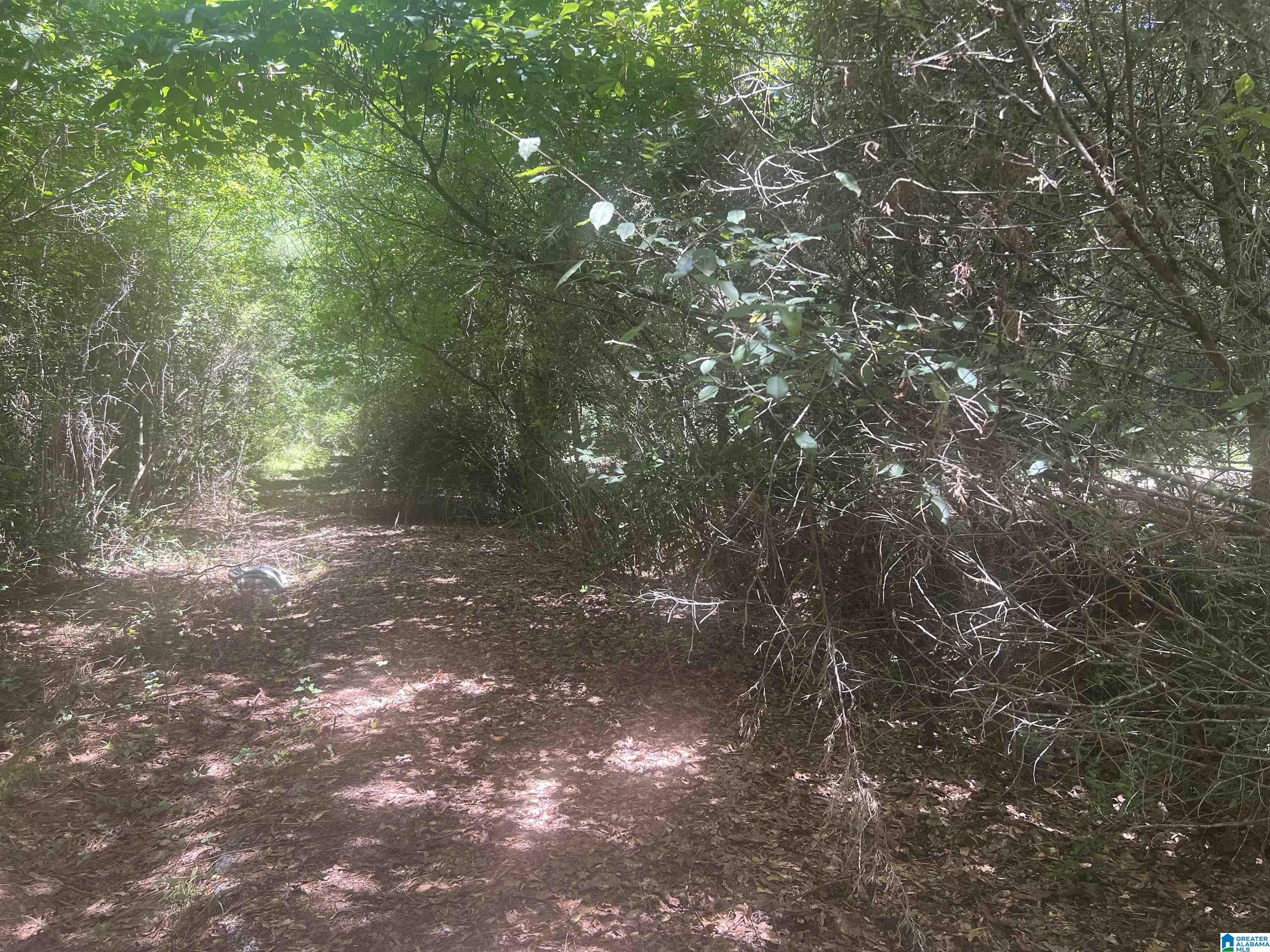 4th image of 00 Hwy 77, Talladega, AL 35160 | MLS# 21453142