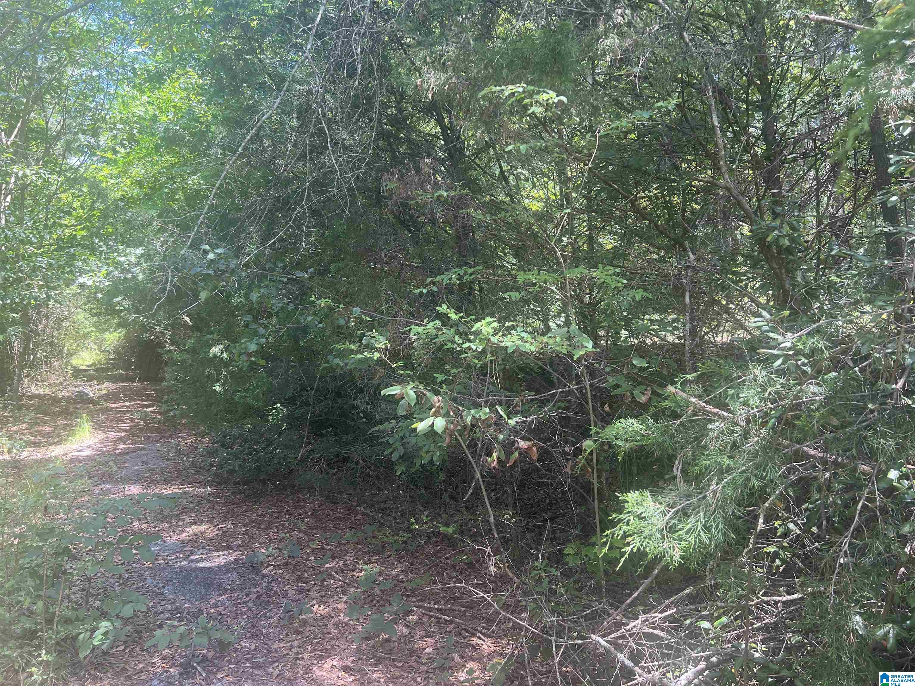 5th image of 00 Hwy 77, Talladega, AL 35160 | MLS# 21453142