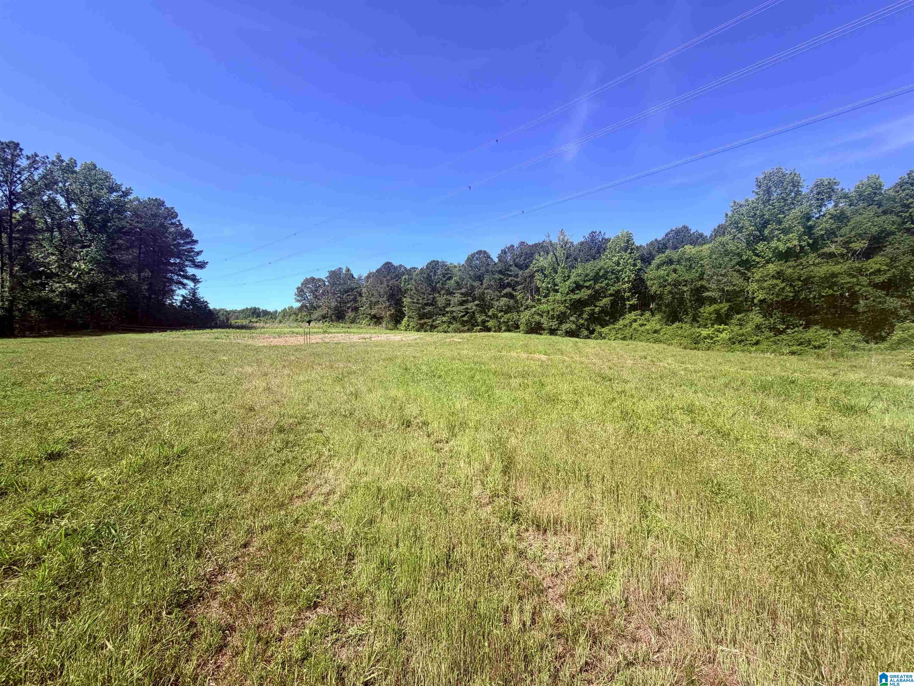 Homes for sale in Empire, AL | 0 Hidden Lake Dr, Empire, AL 35063 | MLS# 21453176