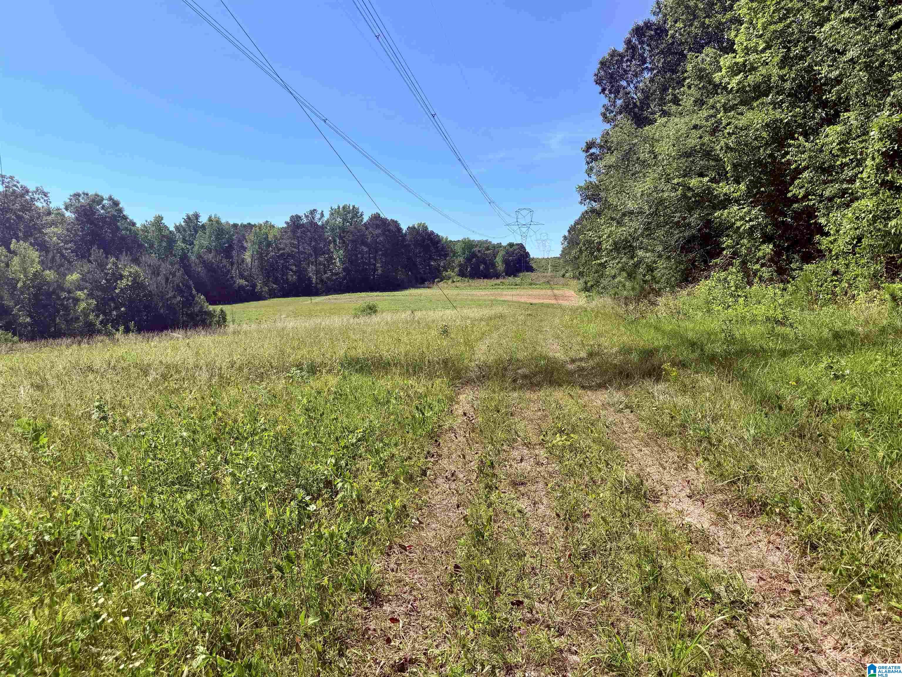 Homes for sale in Empire, AL | 0 Hidden Lake Dr, Empire, AL 35063 | MLS# 21453176
