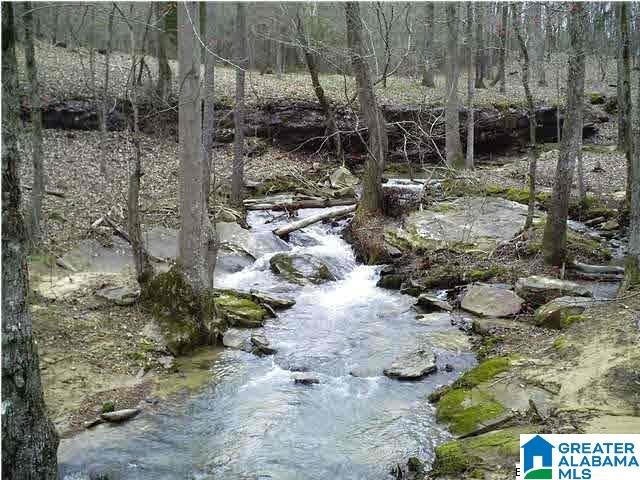 Homes for sale in Empire, AL | 0 Hidden Lake Dr, Empire, AL 35063 | MLS# 21453176