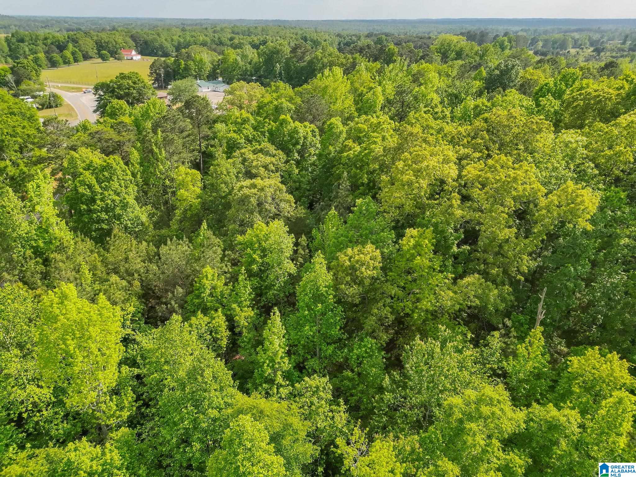 Homes for sale in Jemison, AL | 0 County Road 42, Jemison, AL 35085 | MLS# 21453220