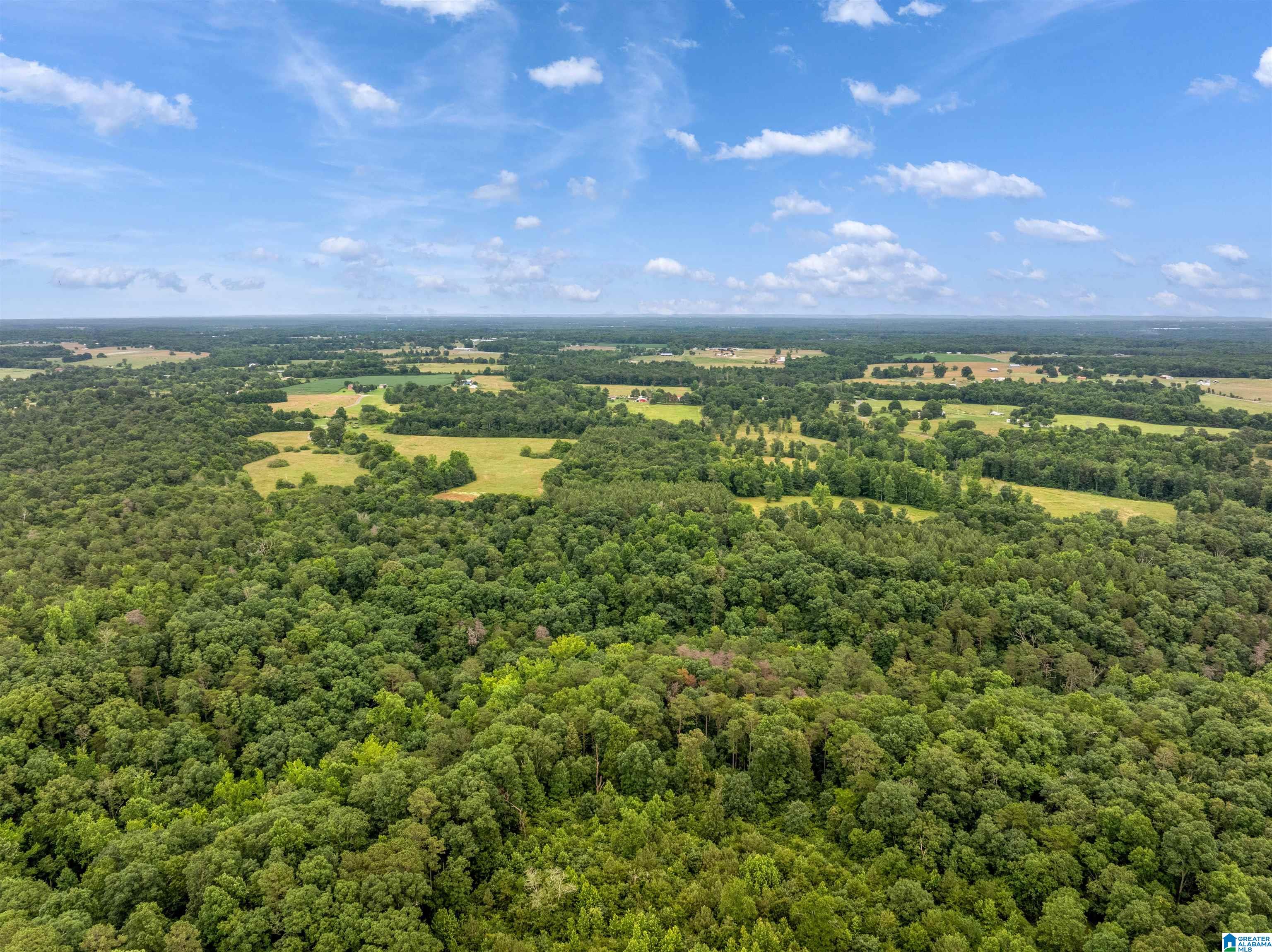 Homes for sale in Section, AL | 0 County Road 605, Section, AL 35771 | MLS# 21453338