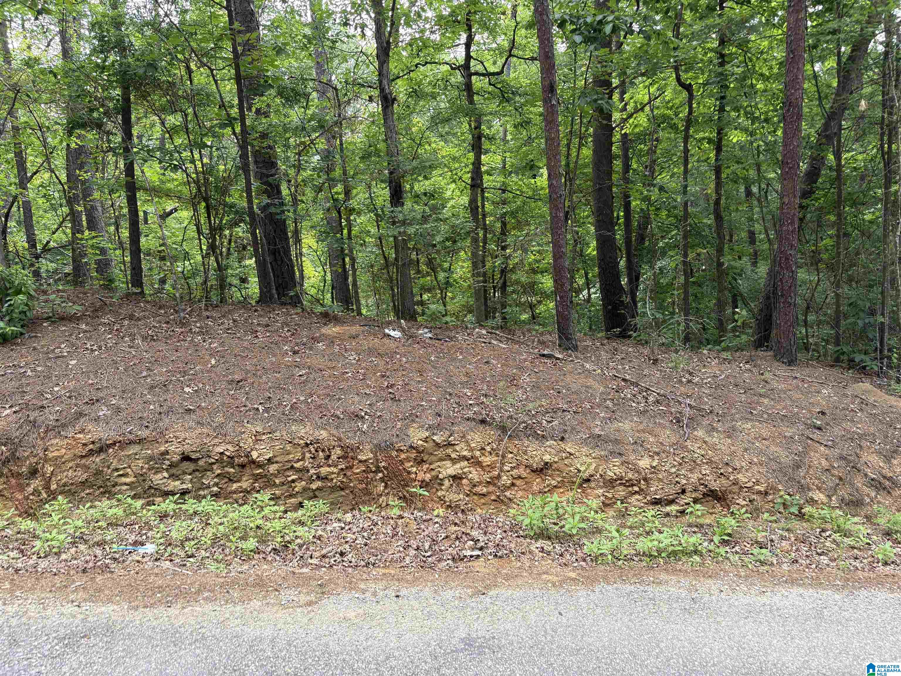 Homes for sale in Mccalla, AL | Lot 23 Teddy Dr, Mccalla, AL 35111 | MLS# 21453460